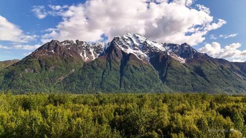 Featured Image of Land Revaluation and Market Trends in the Mat-Su